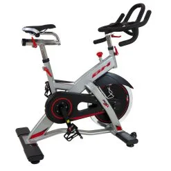 BH Fitness Bicicleta Ciclismo Indoor REX H921 Uso Profesional