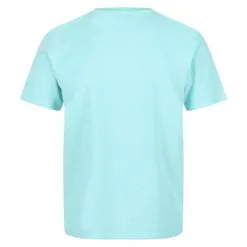 Regatta Camiseta Caelum De Slub Para Hombre Verde Ópalo 9 Regatta Camiseta Caelum De Slub Para Hombre Verde Ópalo -Musculación camiseta caelum de slub para hombre verde opalo 1
