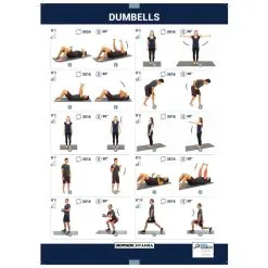 Domyos Pesas 2 X 1,5 Kg De Vinilo Fitness Gimnasia En Casa Pilates Nyamba Violeta -Musculación pesas 2 x 15 kg de vinilo fitness gimnasia en casa pilates nyamba violeta 3